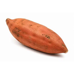 Potato