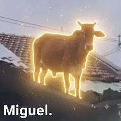 Miguel / SOL