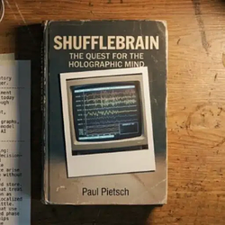 SHUFFLEBRAIN