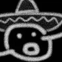 gringo / SOL