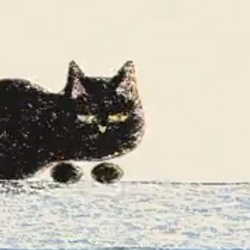 ANTHROCAT