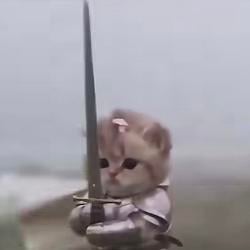 SWCAT