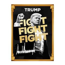 TRUMP / SOL