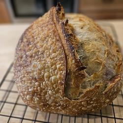 breadcoin logo