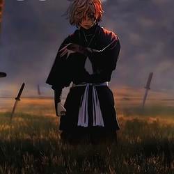 DOG / SOL