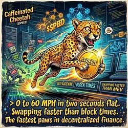 speed / SOL
