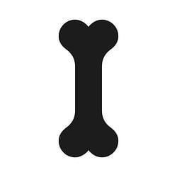 BONE