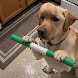 BATON