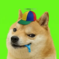 REINU