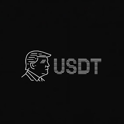 USDT / SOL