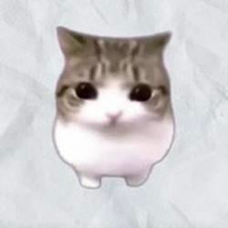 Meowpin / SOL