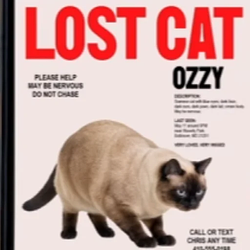 OZZY