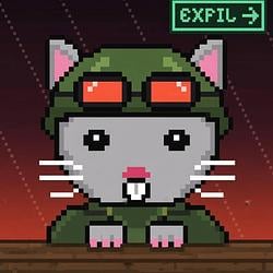 EXFIL CAT