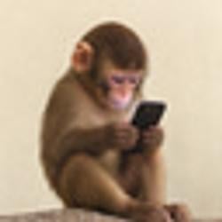 fone
