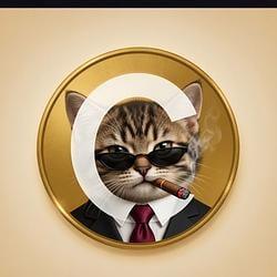 boss cate / SOL