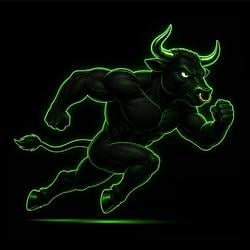 BULLRUNNER / SOL