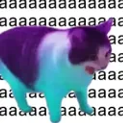 aaaaa / SOL