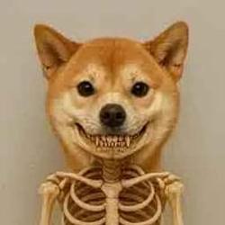skeletinu