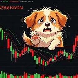 饶我狗命 / BNB