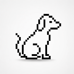 Dog / SOL