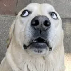 RUFUS