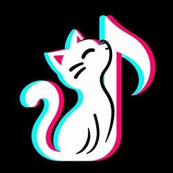 CatTok