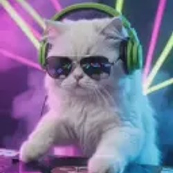 RAVECAT