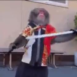 SAMURAI / SOL