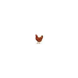 microcock