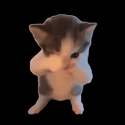 KICAUCAT / SOL