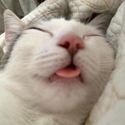 sleepy / SOL