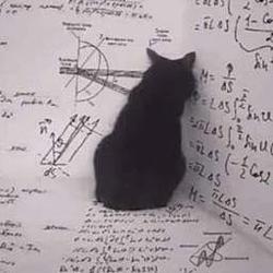 thesis