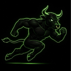 BULLRUN / SOL