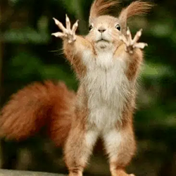 GNUT