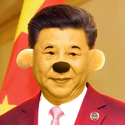 Xi