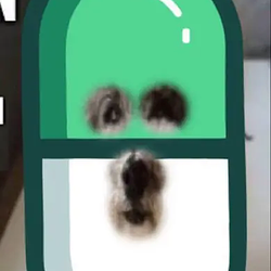 PUMPINU
