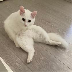 ctc