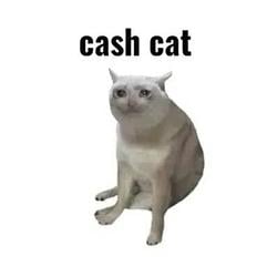 CASHCAT / SOL