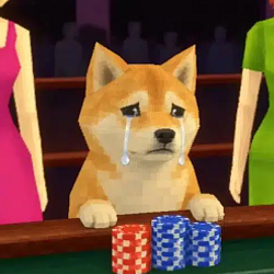 CASINU