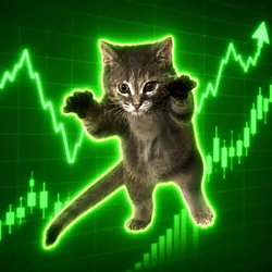 Flycat