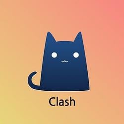 $Clash cat / SOL