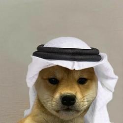 INUSHALLAH