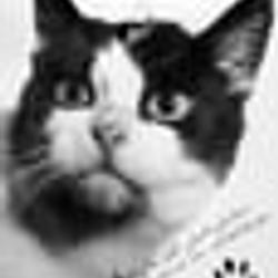 Félicette