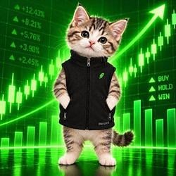 Cat In Vest