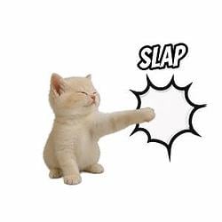SLAP / BNB