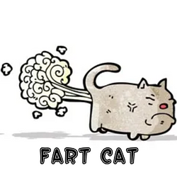 fartcat / SOL