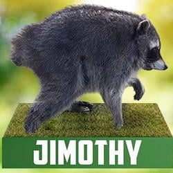 JIMOTHY / SOL