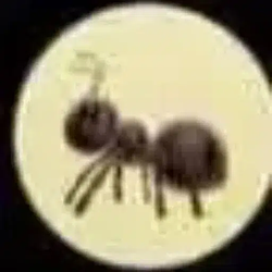 ANT