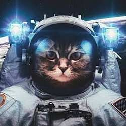 SPACECAT / USDG