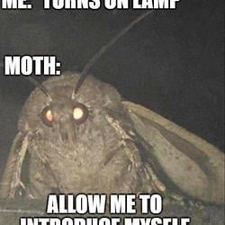 LAMP / SOL